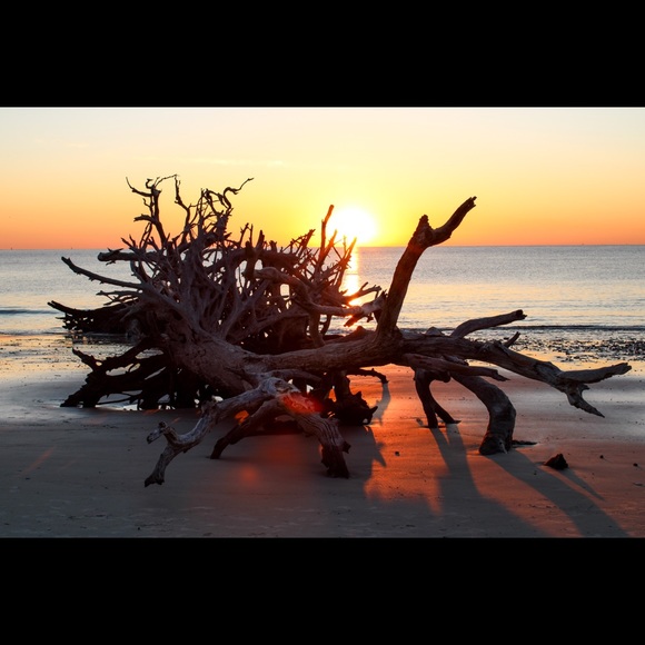 Meet your Posher, Jennifer - Picture 3 of 4